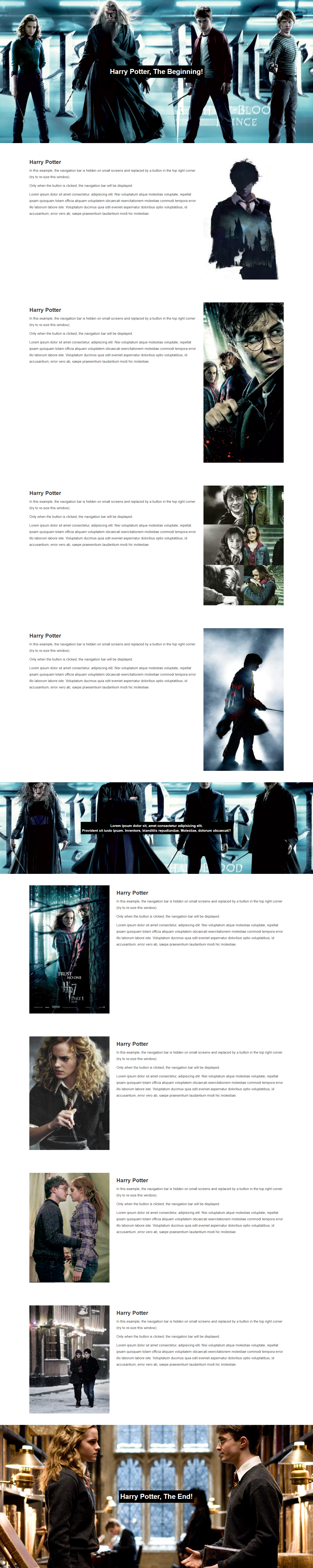 Harry Potter Website